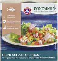 Artikelbild: Thunfischsalat Texas