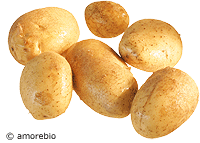 Artikelbild: Kartoffeln v.festk. 