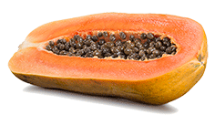 Artikelbild: Papaya 
