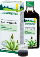 Artikelbild: Spitzwegerich,Naturreiner Heilpflanzensaft bio