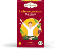 Artikelbild: Lebensenergie Chai Mokka (ohne Kaffee)