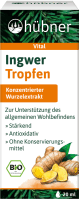Artikelbild: Ingwer Tropfen