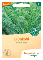 Artikelbild: Grünkohl Lerchenzungen