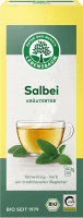 Artikelbild: Salbei