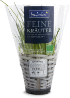Artikelbild: Schnittlauch im 13cm Topf <strong>ausgelistet am: 05.09.2025</strong>