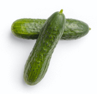 Artikelbild: Landgurke