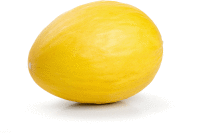 Artikelbild: Honigmelone Canari  <strong>Sasionartikel ausgelistet am: 12.08.2026</strong>