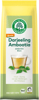 Artikelbild: Darjeeling Ambootia