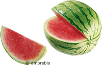 Artikelbild: Wassermelone Mini