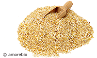 Quinoa lose im Sack