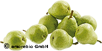 Birne Guyot