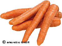 Artikelbild: Frühkarotten <strong>ausgelistet am: 05.09.2025</strong>