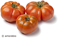 Artikelbild: Tomaten Coeur de Boeuf - Ochsenherzen