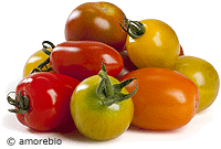 Artikelbild: Wilde Tomaten in der Schale