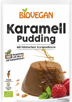 Karamell Paradies Pudding