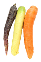 Artikelbild: Möhren Bunt <strong>ausgelistet am: 05.09.2025</strong>