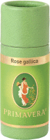 Rose gallica