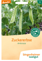 Zuckererbse Ambrosia
