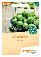 Rosenkohl Idemar