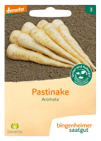 Pastinake Aromata
