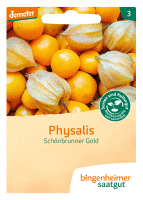 Physalis Sch�nbrunner Gold