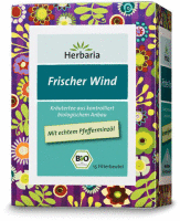 Frischer Wind Tee bio 15 FB