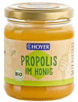 Artikelbild: Propolis im Honig